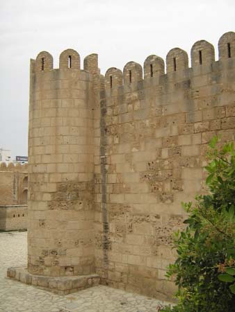IMG_0320