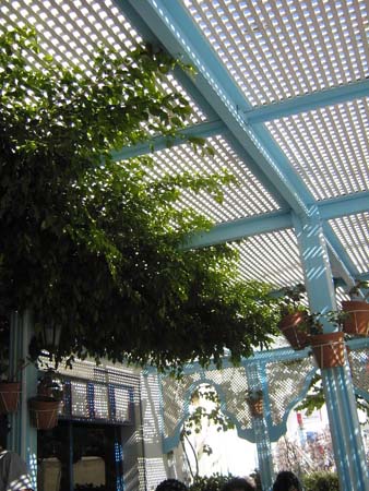 IMG_0389