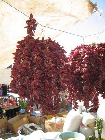 IMG_0395